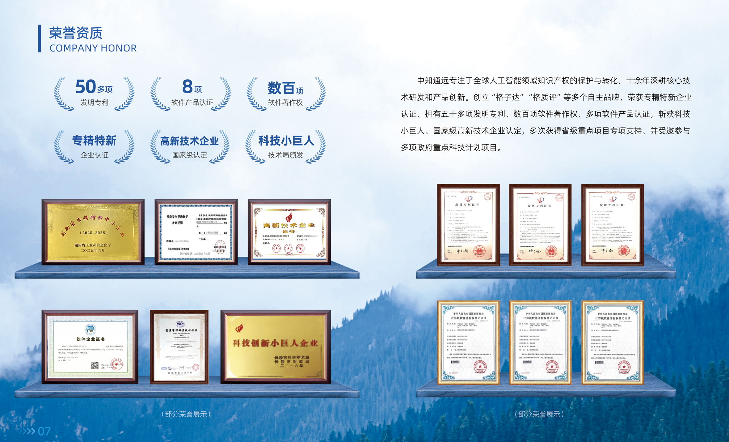 中知格子达公司荣誉与资质